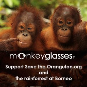 Save the Orang Utan, nachhaltige Brillenfassungen