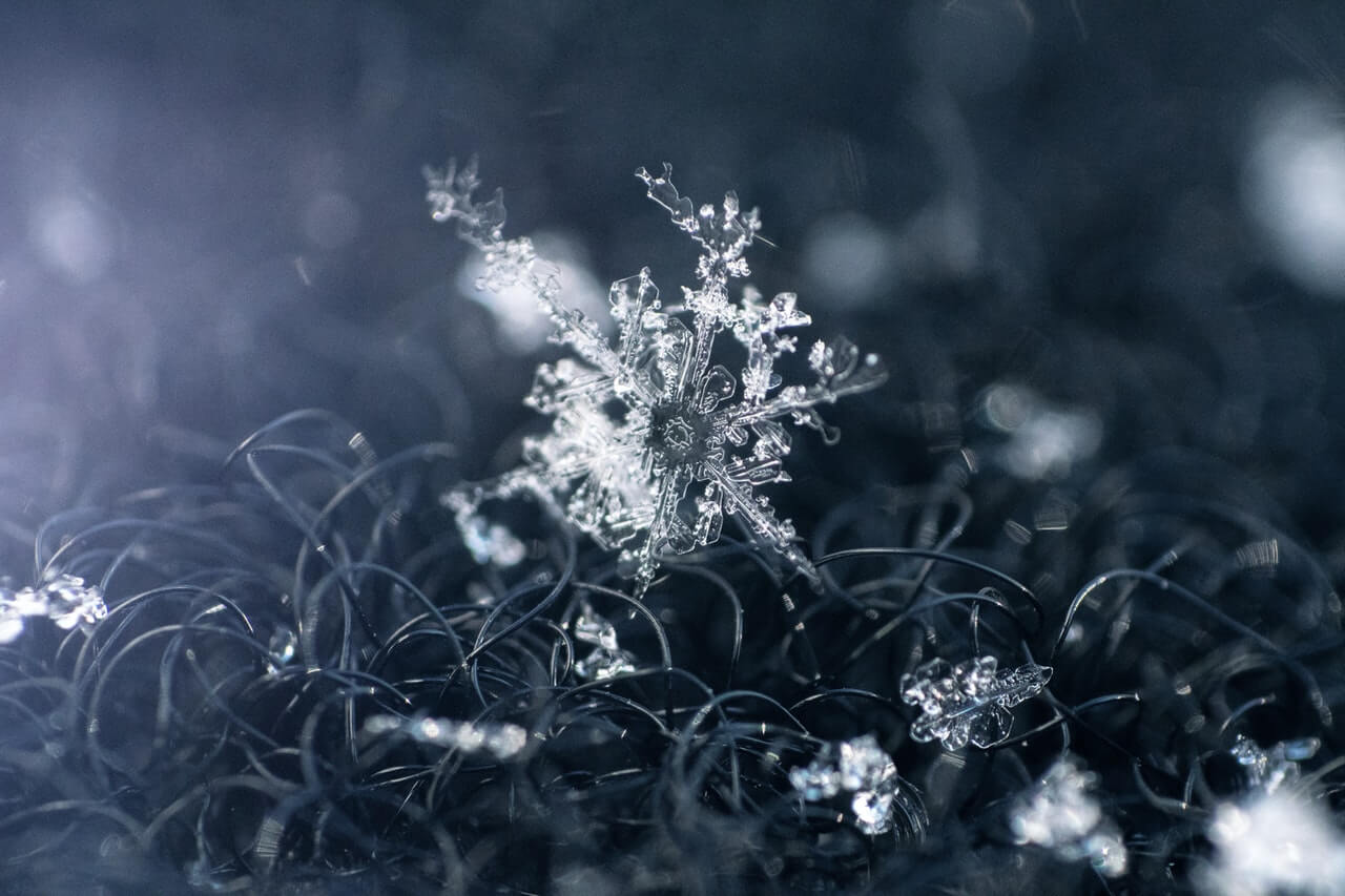 Schneeflocke auf dunklem Hintergrund