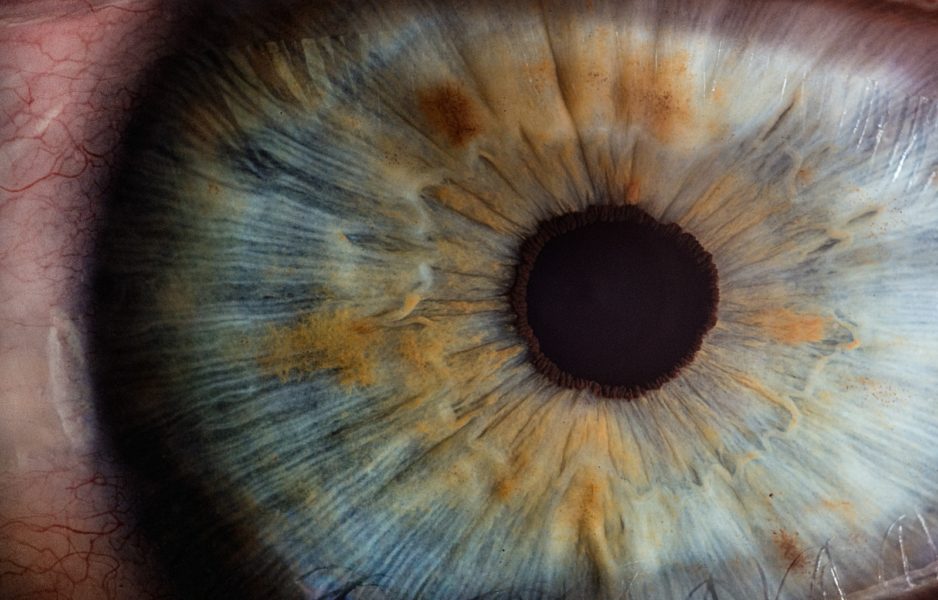 macro photography of human eye