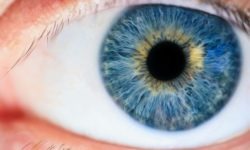 Augen sehen schlechter: Nahaufnahme eines Auges - Foto von Michael Morse/pexels