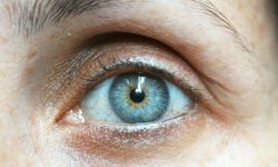 Auge als Nahaufnahme sinnbildlich für gesunde Augen